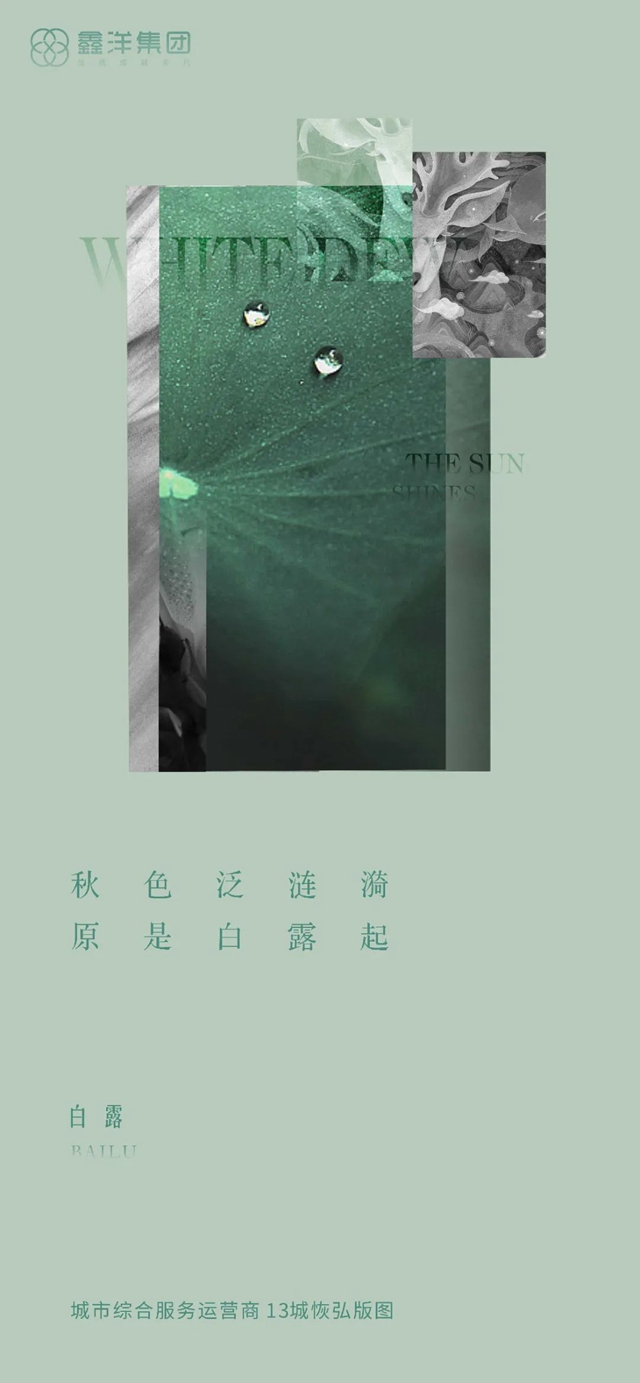 视觉｜鑫洋集团二十四节气海报鉴赏(图13)