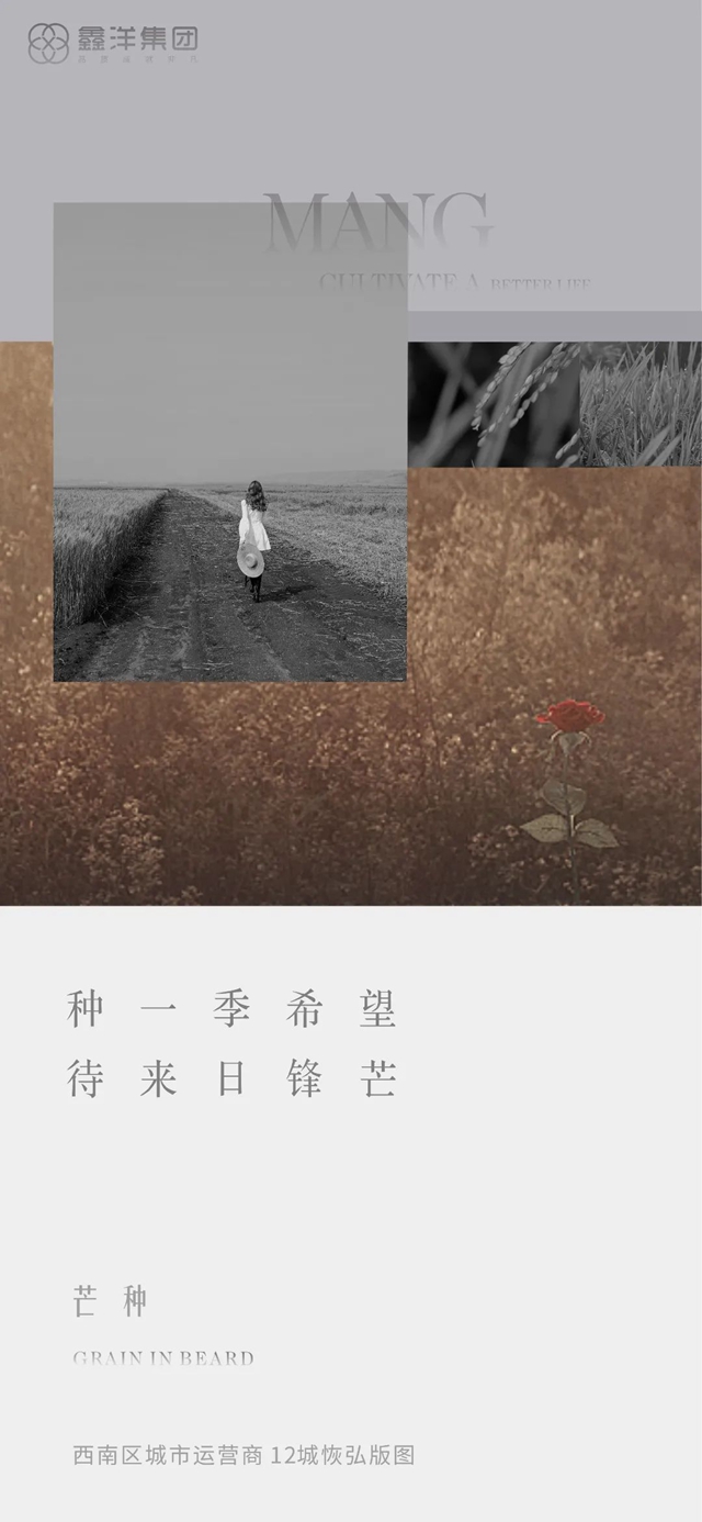 视觉｜鑫洋集团二十四节气海报鉴赏(图6)