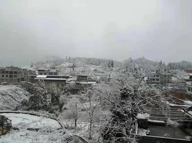 【围观】泸州下雪了，你扛得住吗？(图5)