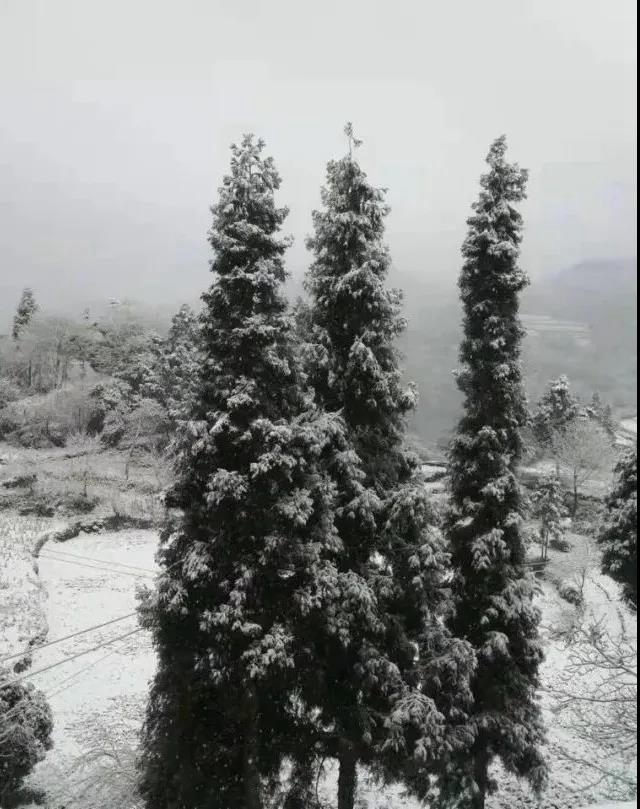 【围观】泸州下雪了，你扛得住吗？(图4)