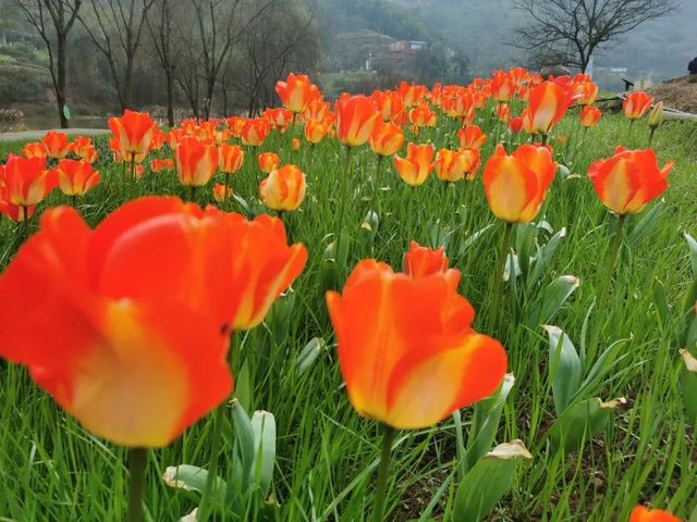 弱冷空气将暂缓泸州市升温进程