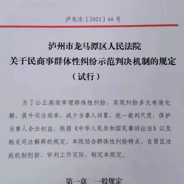 龙马潭区法院斩获信息工作先进法院与调研工作先进法院(图7) nEO_IMG_6.jpg