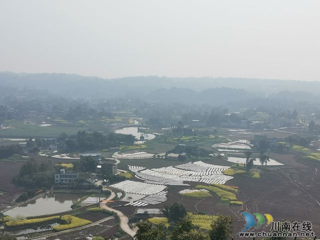 泸县百和镇建设万亩粮油基地打造乡村振兴样本(图4) nEO_IMG_万亩粮油核心区育秧基地(曾佐然摄).jpg