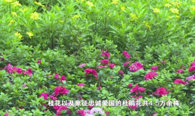 宜宾赵一曼纪念馆改造升级 走进“英雄之路”背后的故事(图4) nEO_IMG_4.jpg