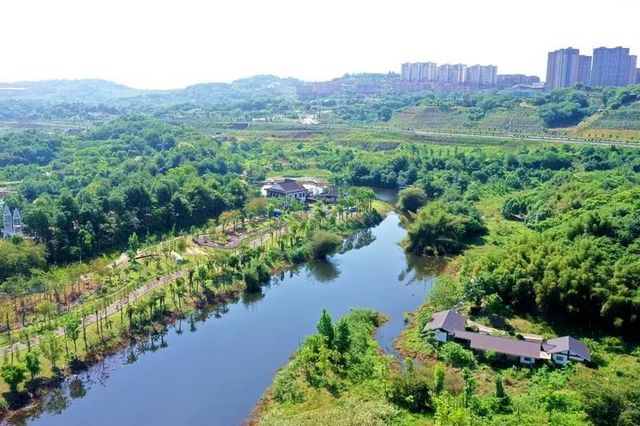 趁着阳光,来纳溪赴一场浪漫追花之旅(图6) nEO_IMG_6.jpg