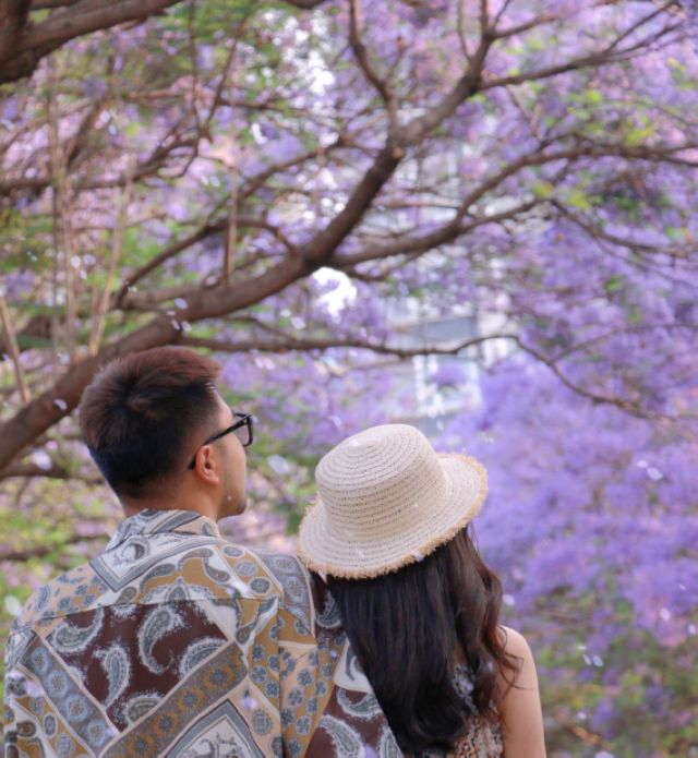 【创建天府旅游名县】紫色浪漫席卷纳溪 共赴蓝花楹之约(图4) nEO_IMG_4.jpg