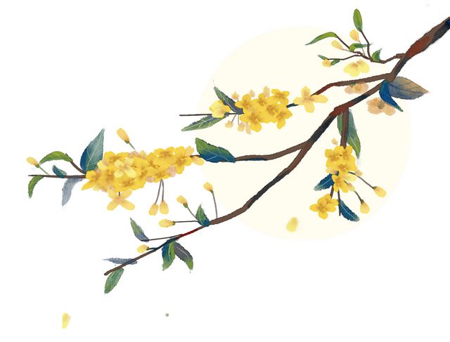 十万奖金，全民征集！这一次，只为内江“甜”入人心——