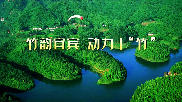 动力十“竹”丨看点多！11月中旬宜宾将迎来国际性竹产业盛会