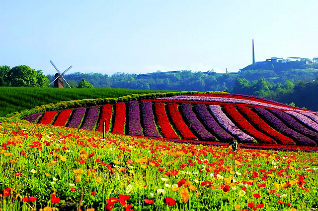 四川日报关注!泸州这里将争创全国知名旅游目的地(图4) nEO_IMG_4.jpg