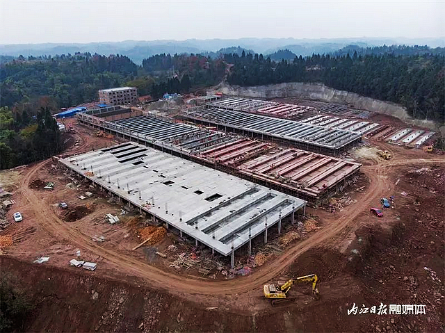 年出栏仔猪25万头！内江这个种猪场加快推进中——