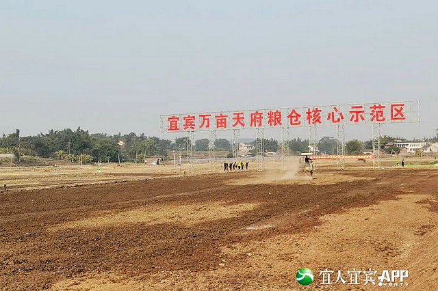 12066亩！“天府粮仓”宜宾示范区初见雏形