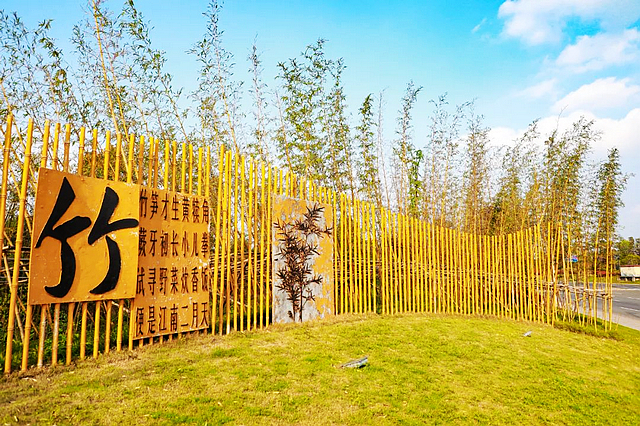 涉嫌违法！宜宾一女子在景观带挖竹笋被调查！