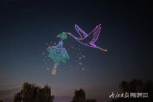 太酷啦!800架无人机惊艳内江上空——(图7) nEO_IMG_7.jpg