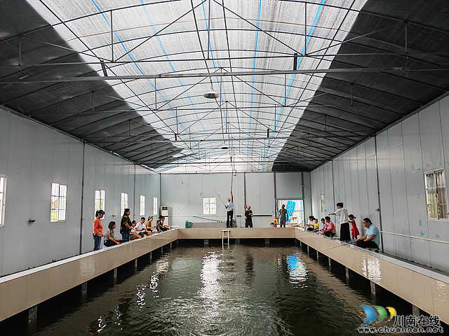 大头虾开钓 泸县方洞镇富华家庭农场与你“虾路相逢”(图2) nEO_IMG_钓大头虾(曾佐然摄).jpg