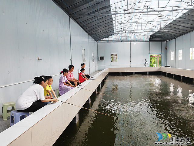 大头虾开钓 泸县方洞镇富华家庭农场与你“虾路相逢”(图3) nEO_IMG_钓大头虾1(曾佐然摄).jpg