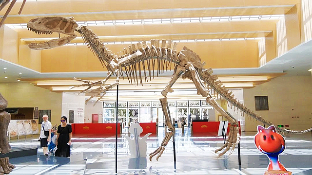 免费观展!71年前在宜宾发现的这只“恐龙”,回宜了!(图8) nEO_IMG_8.jpg