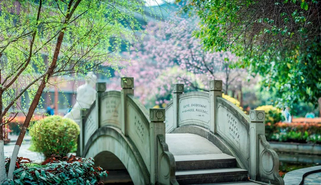 找工作的人看过来！泸州这所学校招聘教师、保育员