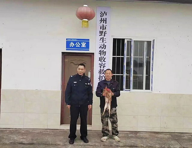 “蒜了吧，姜它放回大孜然吧”