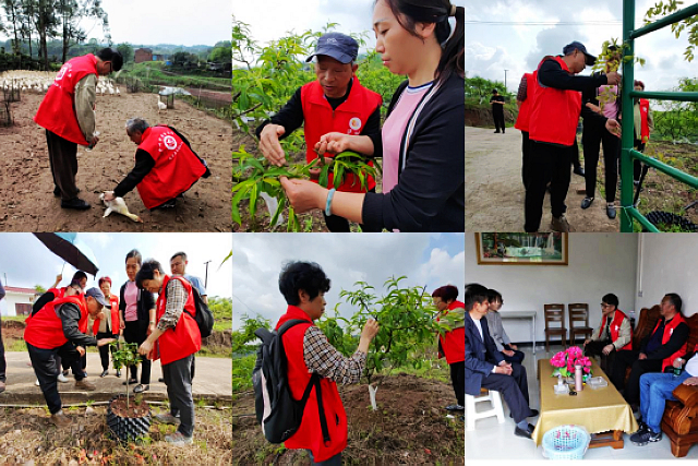 泸州市老年大学开展“助力乡村振兴”志愿活动(图5) nEO_IMG_5.jpg