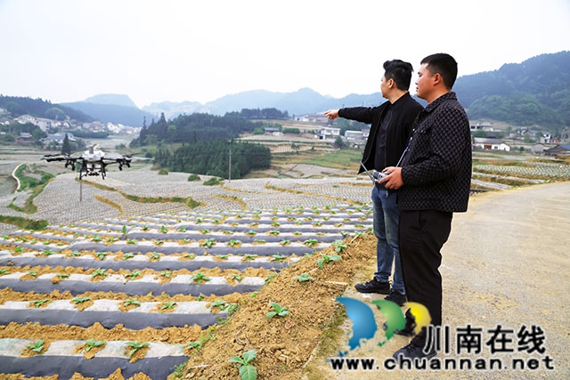 4.张嵩（左一）指导烟农操作无人机运送生产物资（曹庆摄影）.jpg